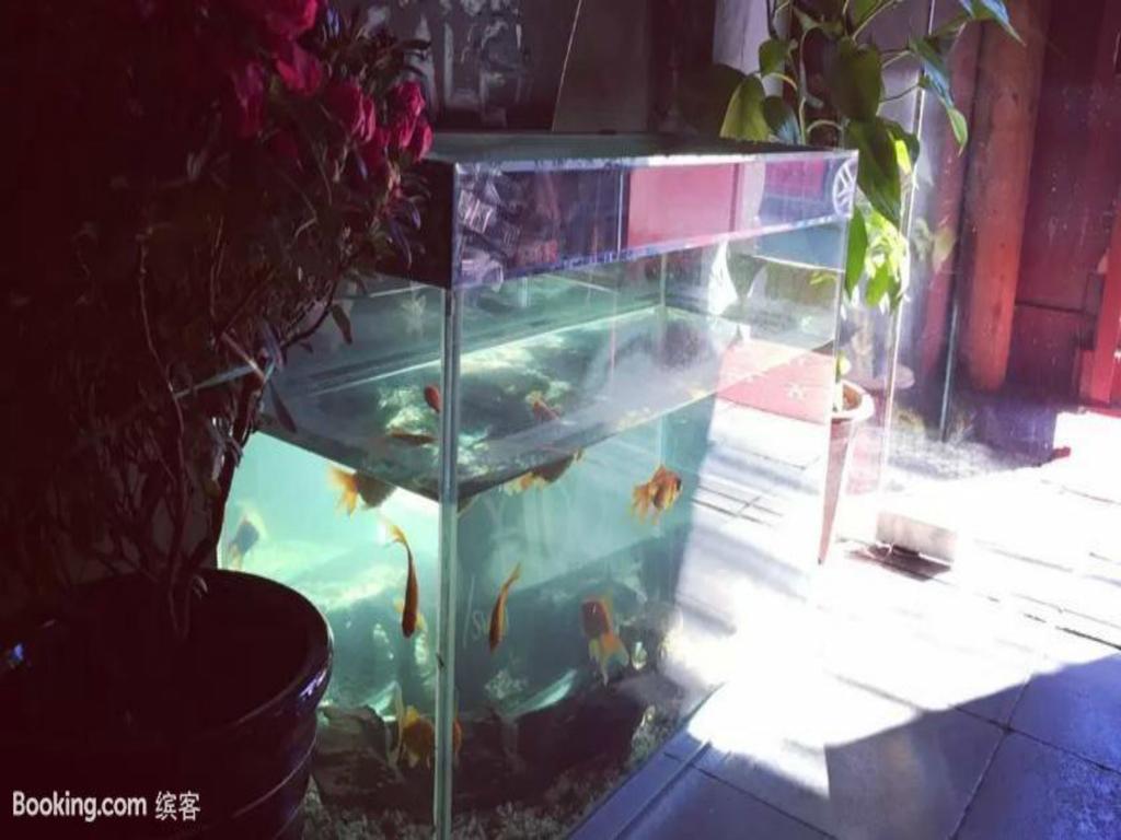 Three Legged Frog Hostel Beijing Eksteriør bilde