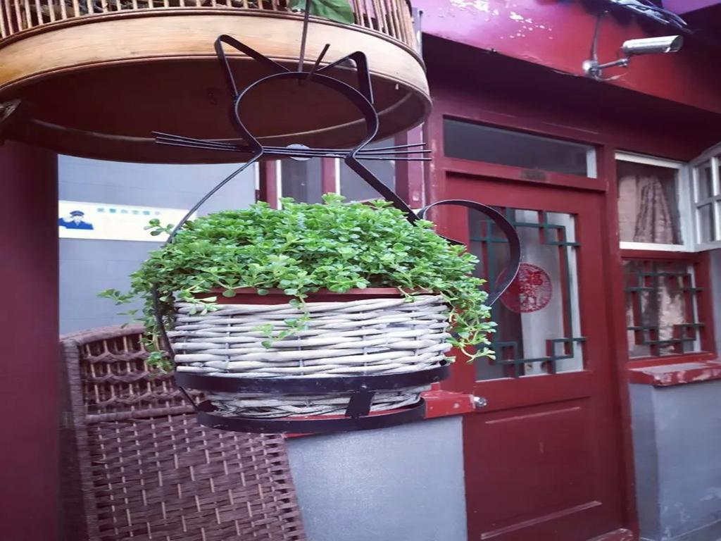 Three Legged Frog Hostel Beijing Eksteriør bilde