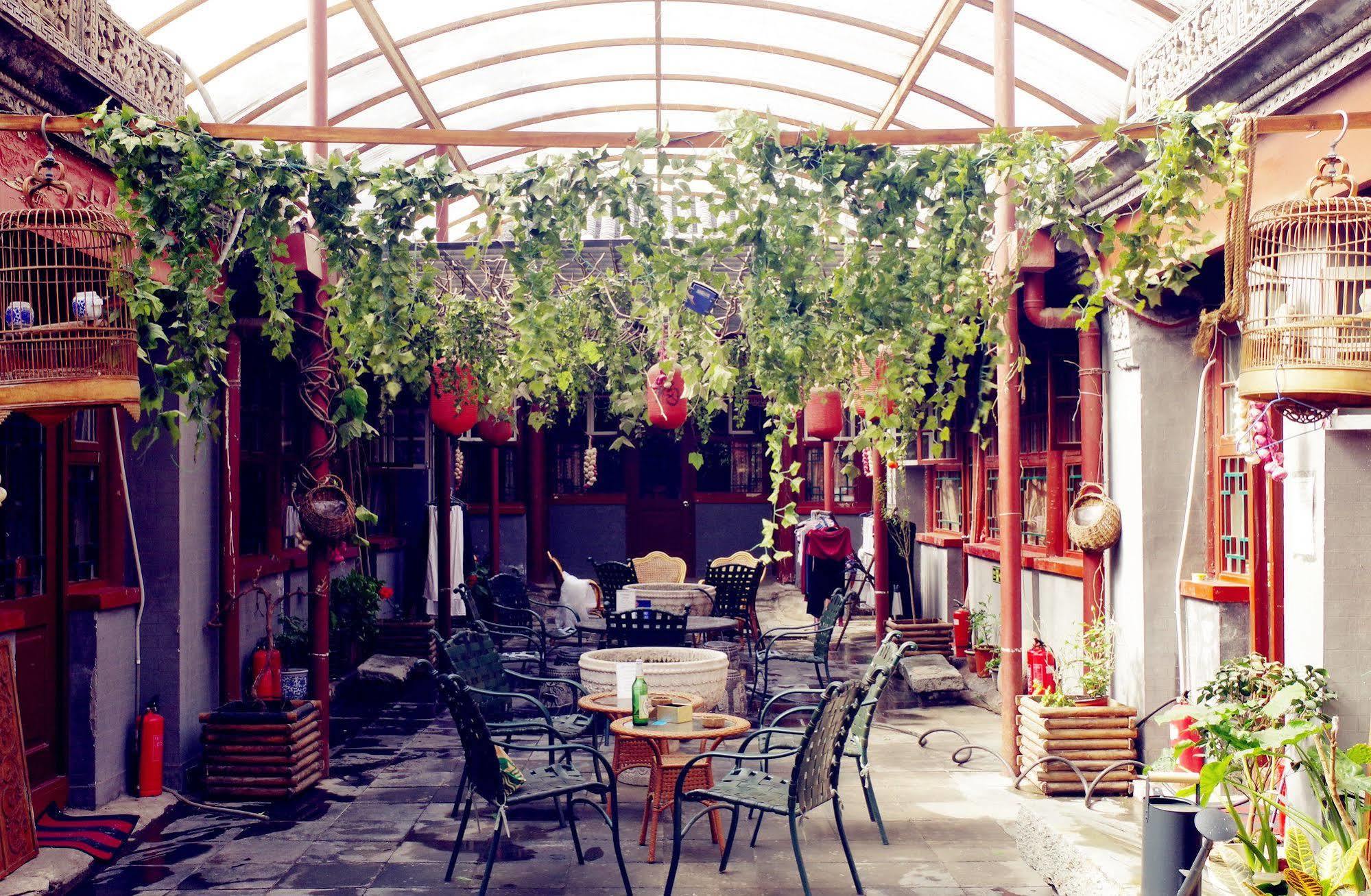 Three Legged Frog Hostel Beijing Eksteriør bilde